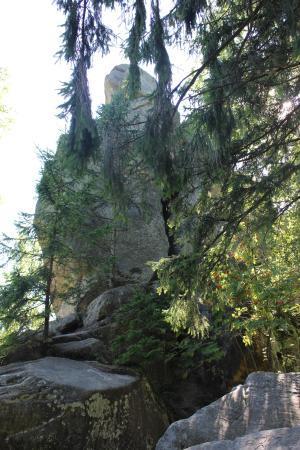 Ternoshorskiye Sanctuary
