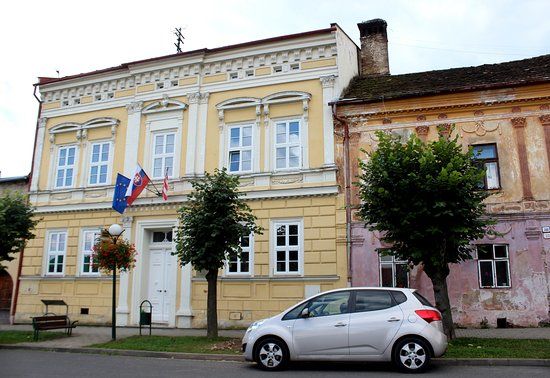 Museum of Dr. Michael Greisiger