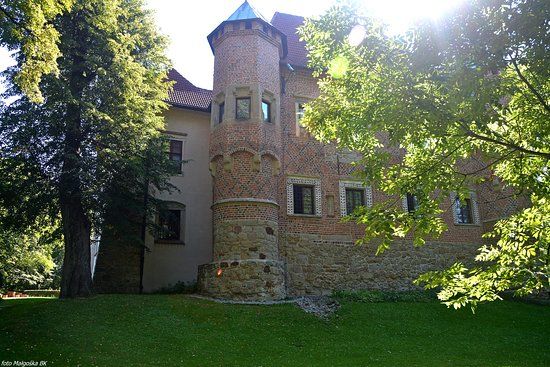 Zamek w Dębnie