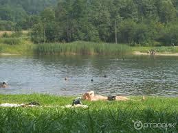 Slonytsya Pond