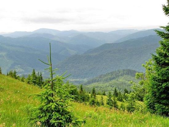 National Park Skole Beskids