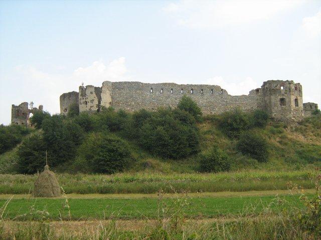 Zamek w Pniowie