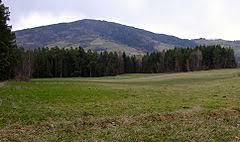 Kiczora