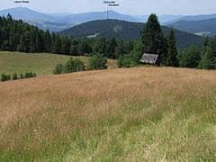Dziurczak