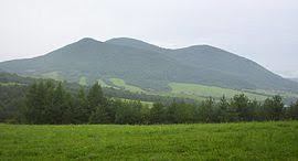 Busov