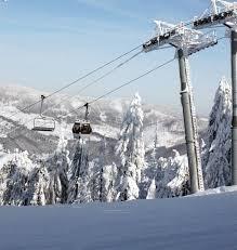 Snowparadise