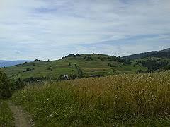Matyska