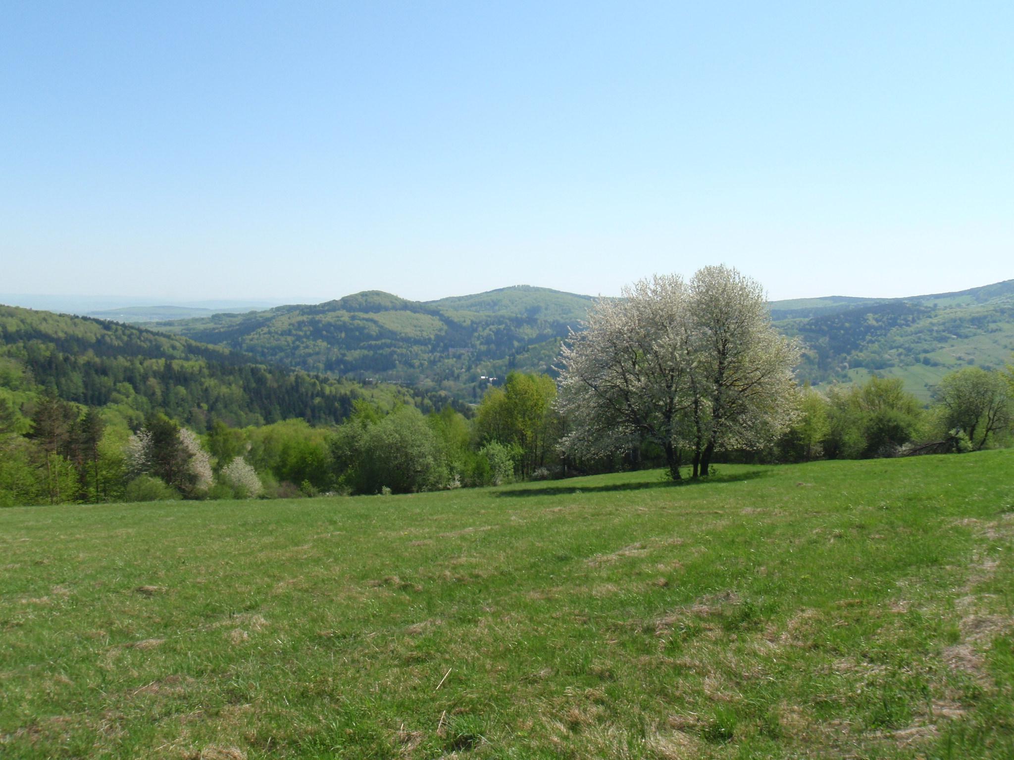 Zamczyska