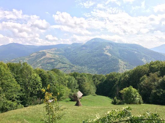 Carpathian Biosphere Reserve