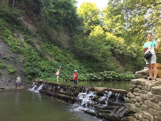 Trout Farm Eco-Trout