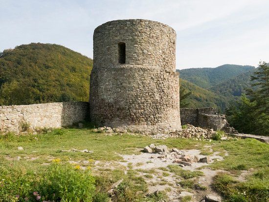 Castle in Rytra