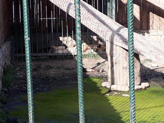 Eco-Park Dolina Volkov