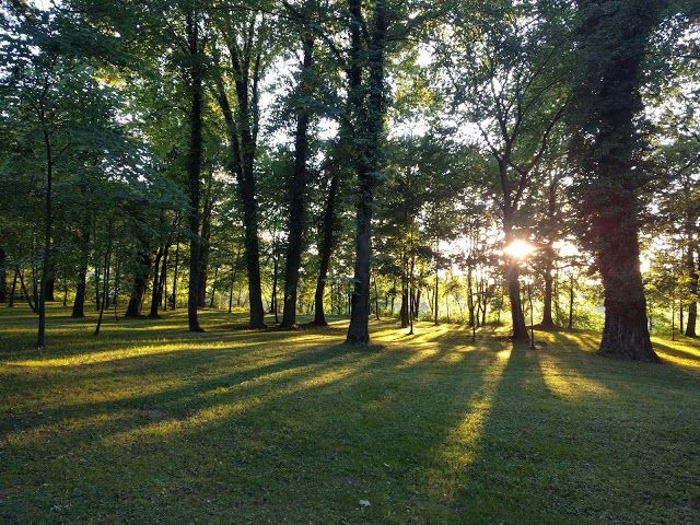Budatinsky Park