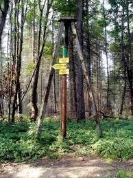 Żuków