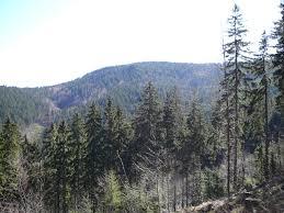 Wielki Połom