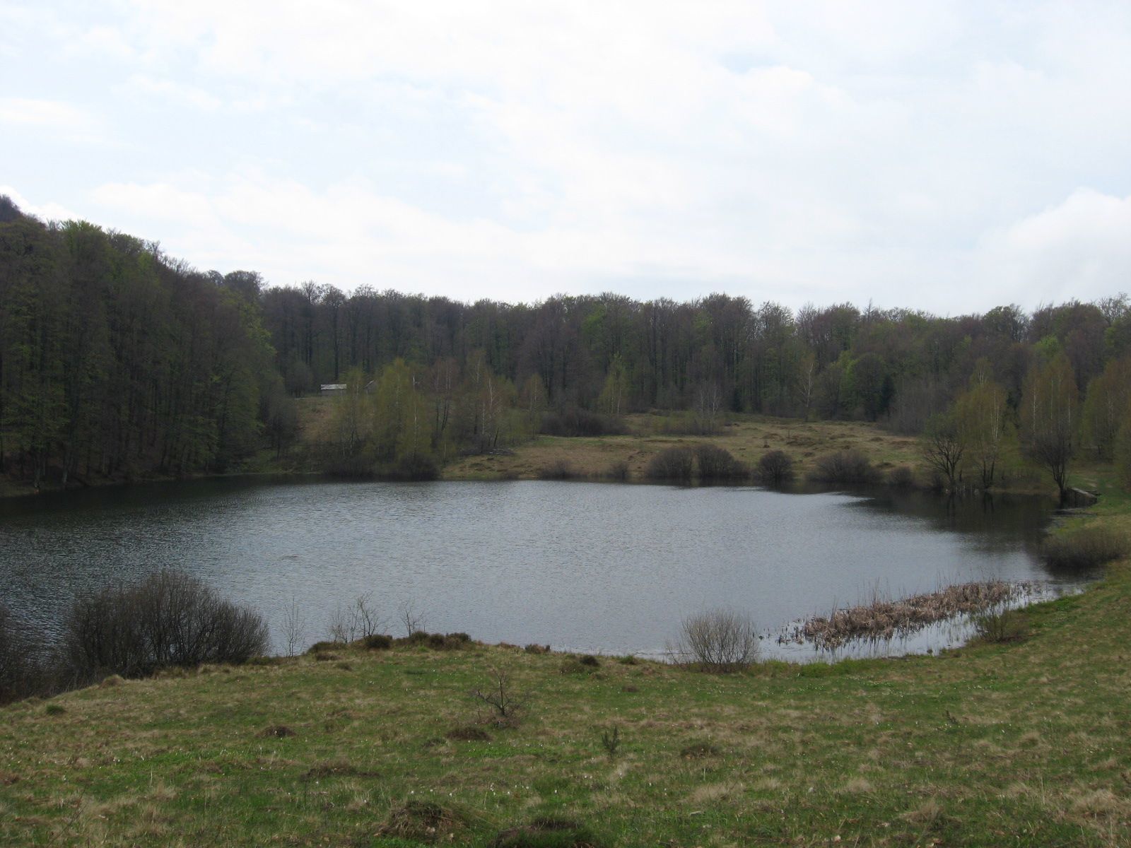 Velyke Trostia